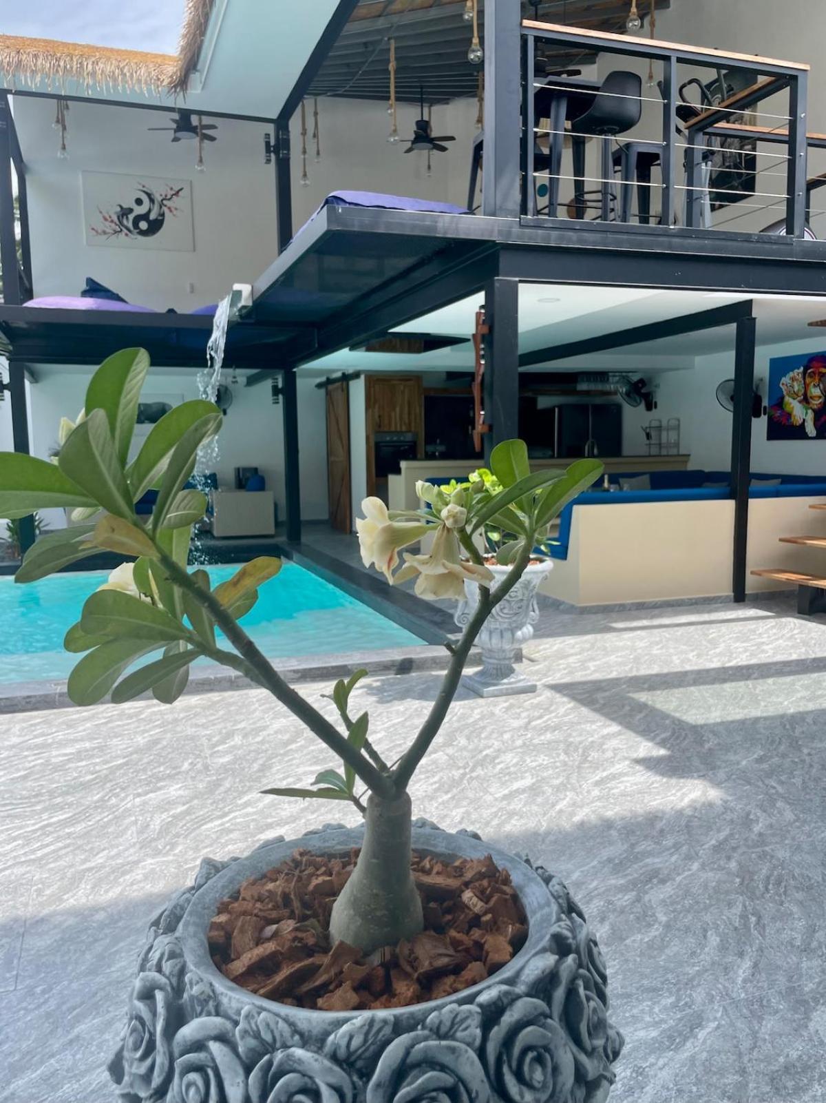 Superbe Familiale De Luxe Villa Amphoe Koksamui